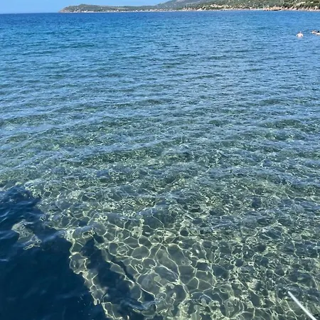 Assos Vi̇lla Natura
