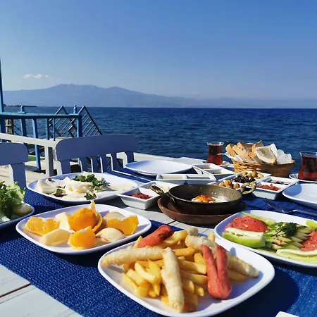 Assos Vi̇lla Natura Damlarkaya